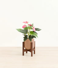 Load image into Gallery viewer, Hammered Peach Pink stand:walnut