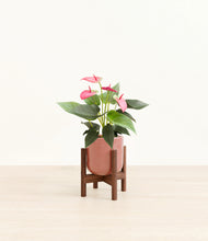 Load image into Gallery viewer, Hammered Rose Pink stand:walnut