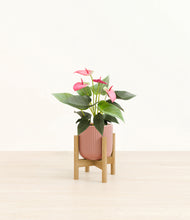 Load image into Gallery viewer, Striped Rose Pink stand:bamboo