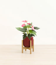 Load image into Gallery viewer, Striped Cherry Red stand:bamboo