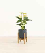 Load image into Gallery viewer, Iron Gray stand:bamboo
