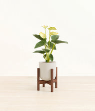 Load image into Gallery viewer, Natural Bamboo stand:walnut