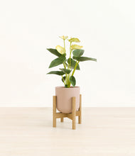 Load image into Gallery viewer, Sandy Pink stand:bamboo
