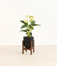 Load image into Gallery viewer, Stone Black stand:walnut