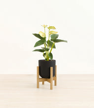 Load image into Gallery viewer, Stone Black stand:bamboo