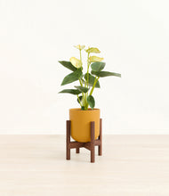 Load image into Gallery viewer, Sunset Orange stand:walnut