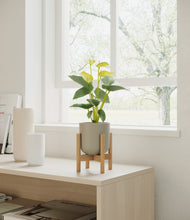 Load image into Gallery viewer, Sage Green stand:bamboo
