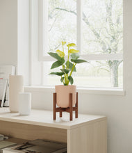 Load image into Gallery viewer, Sandy Pink stand:walnut