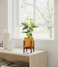 Load image into Gallery viewer, Sunset Orange stand:walnut