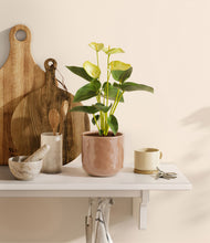 Load image into Gallery viewer, Hammered Peach Pink