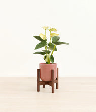 Load image into Gallery viewer, Hammered Rose Pink stand:walnut