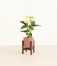 Load image into Gallery viewer, Striped Rose Pink stand:walnut