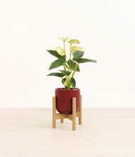 Load image into Gallery viewer, Striped Cherry Red stand:bamboo