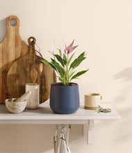 Load image into Gallery viewer, Deep Navy