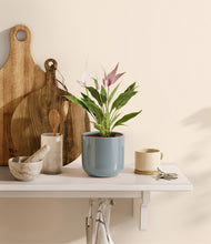 Load image into Gallery viewer, Misty Blue