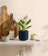 Load image into Gallery viewer, Twilight Blue