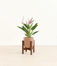Load image into Gallery viewer, Hammered Peach Pink stand:walnut
