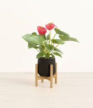 Load image into Gallery viewer, Black stand:bamboo