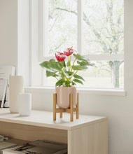 Load image into Gallery viewer, Sandy Pink stand:bamboo
