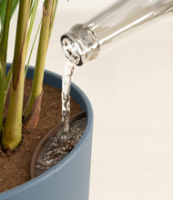 Load image into Gallery viewer, Earthy