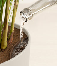 Load image into Gallery viewer, Woodland