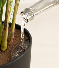 Load image into Gallery viewer, Charcoal