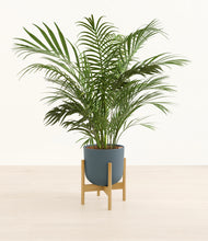 Load image into Gallery viewer, Iron Gray stand:bamboo