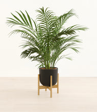 Load image into Gallery viewer, Stone Black stand:bamboo