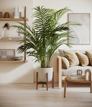 Load image into Gallery viewer, Natural Bamboo stand:walnut