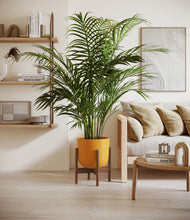 Load image into Gallery viewer, Sunset Orange stand:walnut