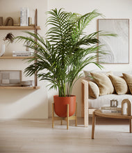 Load image into Gallery viewer, Earth Red stand:bamboo