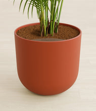 Load image into Gallery viewer, Earth Red stand:all