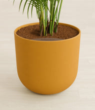 Load image into Gallery viewer, Sunset Orange stand:all