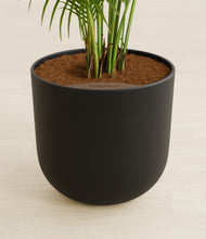 Load image into Gallery viewer, Stone Black