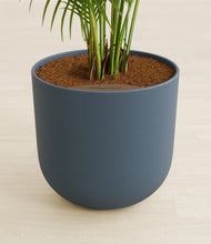 Load image into Gallery viewer, Iron Gray stand:all