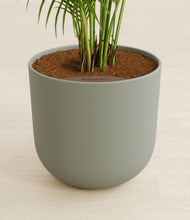 Load image into Gallery viewer, Sage Green