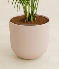 Load image into Gallery viewer, Sandy Pink