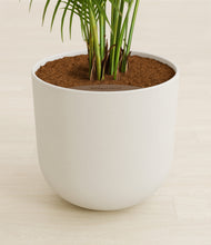 Load image into Gallery viewer, Natural Bamboo