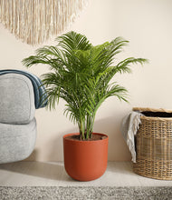 Load image into Gallery viewer, Earth Red