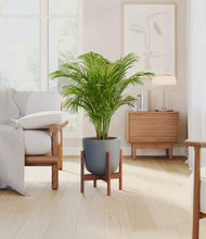 Load image into Gallery viewer, Iron Gray stand:walnut