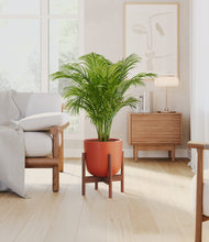Load image into Gallery viewer, Earth Red stand:walnut