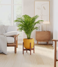 Load image into Gallery viewer, Sunset Orange stand:walnut