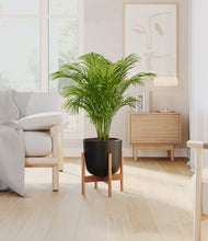 Load image into Gallery viewer, Stone Black stand:bamboo