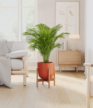 Load image into Gallery viewer, Earth Red stand:bamboo