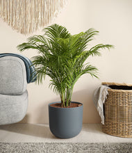 Load image into Gallery viewer, Iron Gray