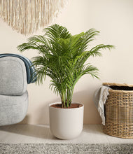 Load image into Gallery viewer, Natural Bamboo