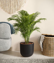 Load image into Gallery viewer, Stone Black