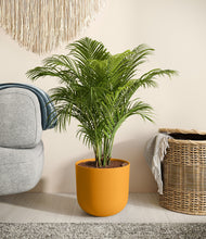 Load image into Gallery viewer, Sunset Orange