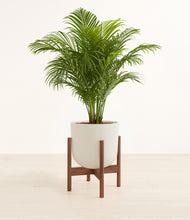 Load image into Gallery viewer, Natural Bamboo stand:walnut