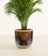Load image into Gallery viewer, Sandy Pink stand:all